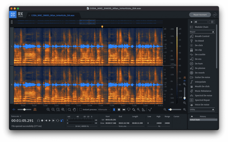 A screenshot of IzoTope RX noise removal software showing a waveform
