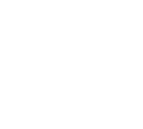 Focus Home Entertainment Logo