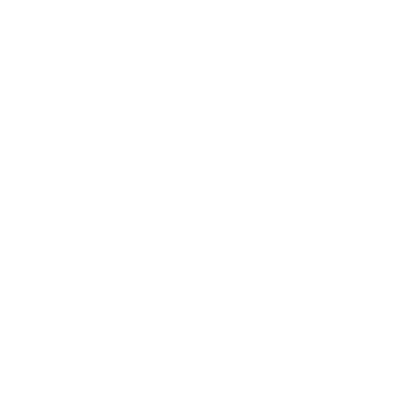 Ricochet Logo